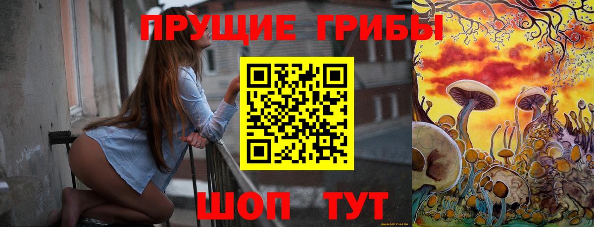 Пугачёв  Галлюциногенные грибы мухоморы  Вход с VPN 